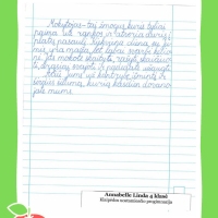 Dailyrascio-paroda-Graziausi-zodziai-Tau-Mokytojau-2026_Page_105