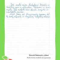 Dailyrascio-paroda-Graziausi-zodziai-Tau-Mokytojau-2026_Page_133