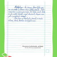 Dailyrascio-paroda-Graziausi-zodziai-Tau-Mokytojau-2026_Page_134