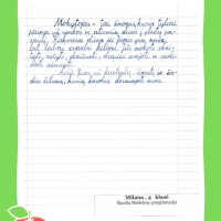 Dailyrascio-paroda-Graziausi-zodziai-Tau-Mokytojau-2026_Page_155