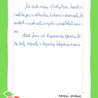 Dailyrascio-paroda-Graziausi-zodziai-Tau-Mokytojau-2026_Page_161
