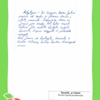 Dailyrascio-paroda-Graziausi-zodziai-Tau-Mokytojau-2026_Page_212