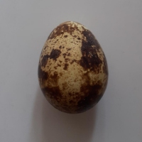 1-26