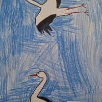00-18
