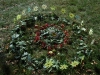 sam_4577