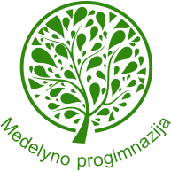 Šiaulių Medelyno Progimnazija
